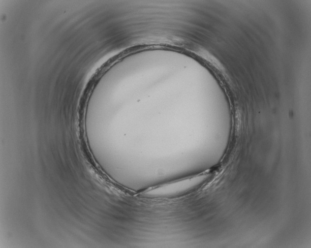 X0000067921020200605112003