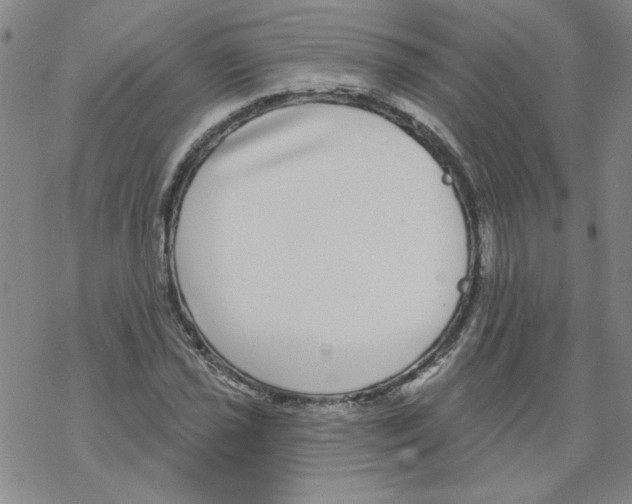 X0000067921021200605112003