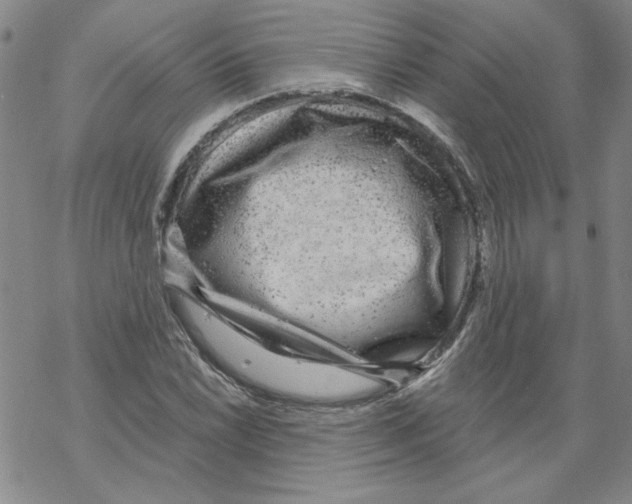 X0000067921022200605112003