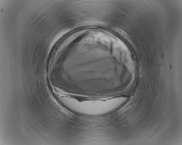 X0000067921024200605112003