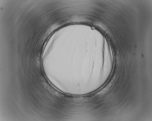 X0000067921025200605112003