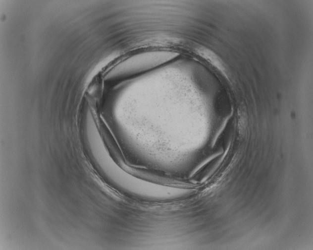 X0000067921026200605112003