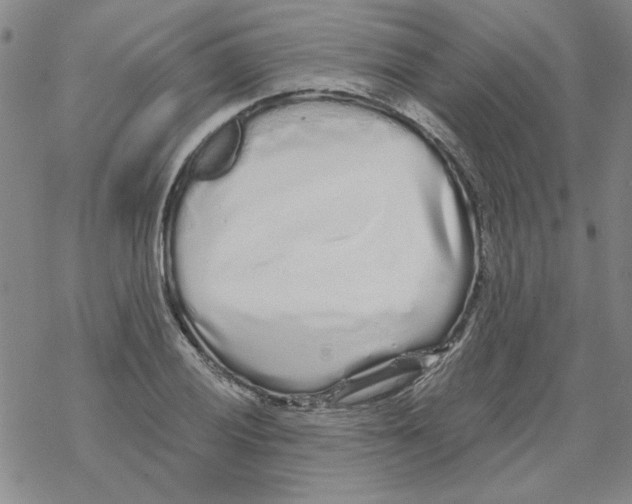 X0000067921028200605112003