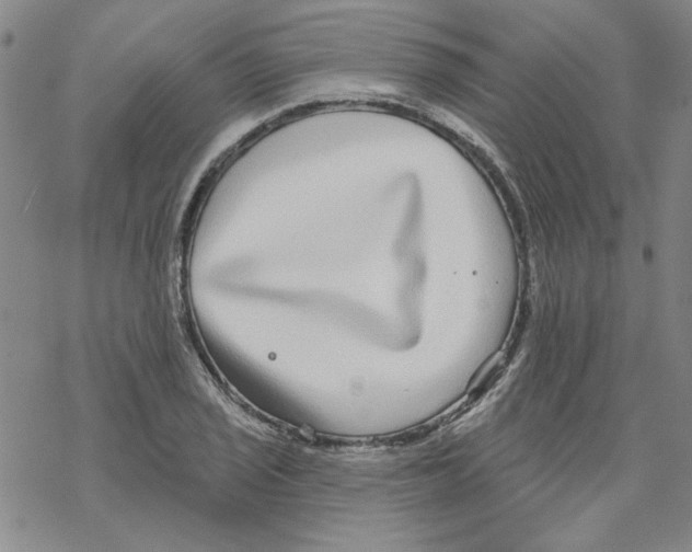 X0000067921029200605112003