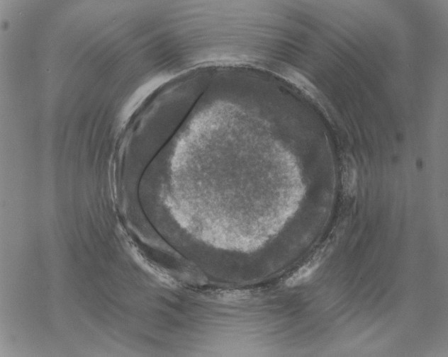 X0000067921030200605112003