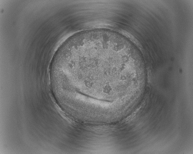 X0000067921031200605112003