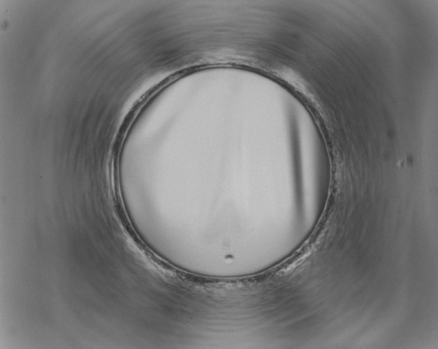 X0000067921032200605112003