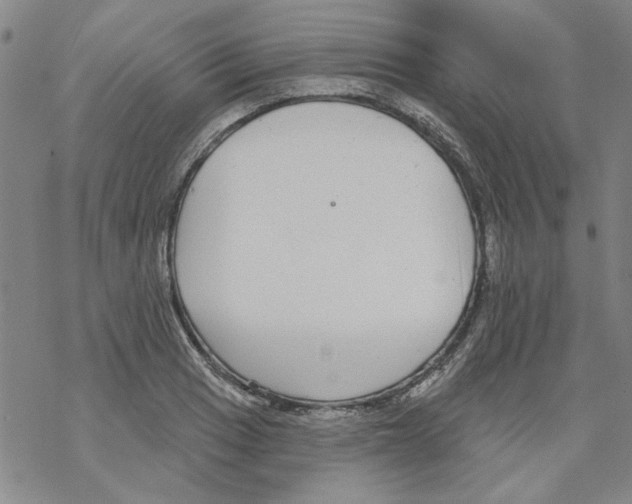 X0000067921033200605112003