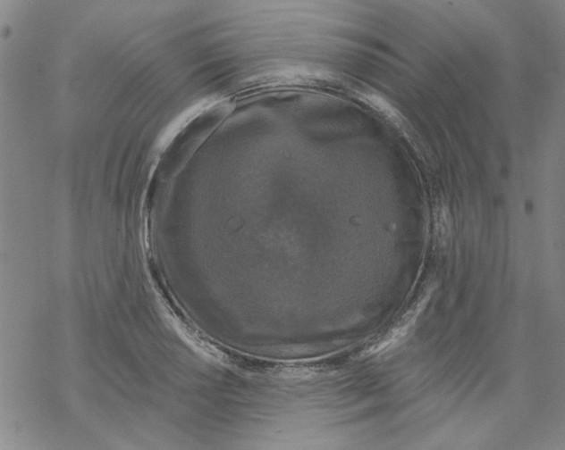 X0000067921034200605112003