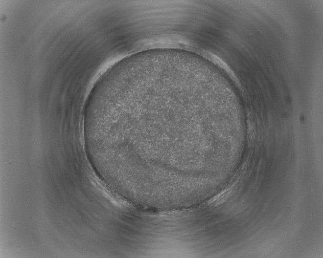 X0000067921035200605112003