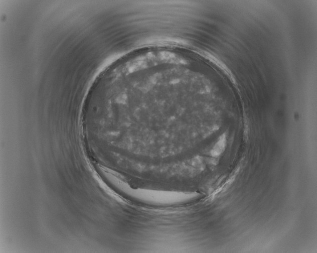 X0000067921037200605112003