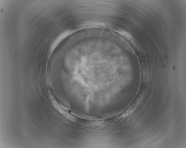 X0000067921038200605112003