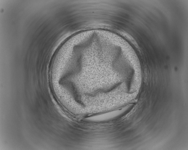 X0000067921039200605112003