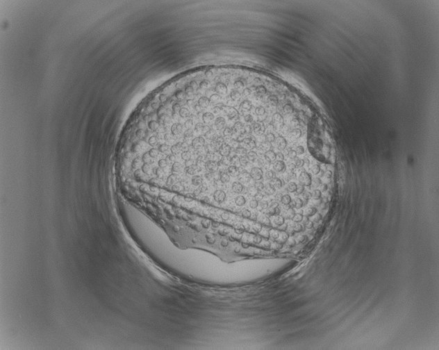 X0000067921040200605112003