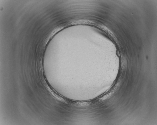 X0000067921041200605112003