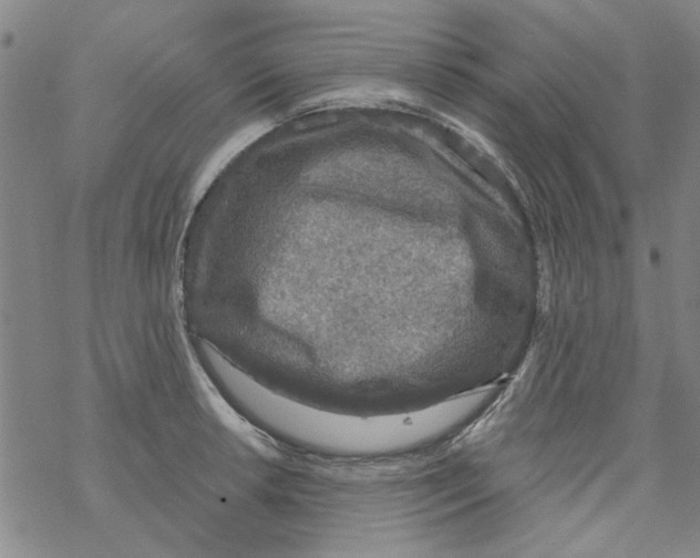 X0000067921042200605112003