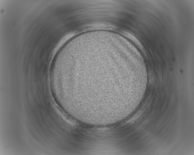 X0000067921043200605112003