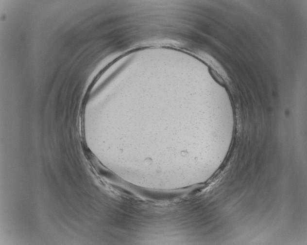 X0000067921044200605112003