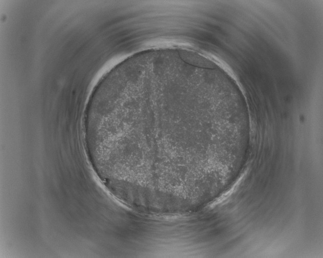 X0000067921045200605112003