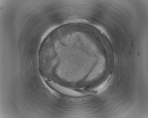 X0000067921046200605112003