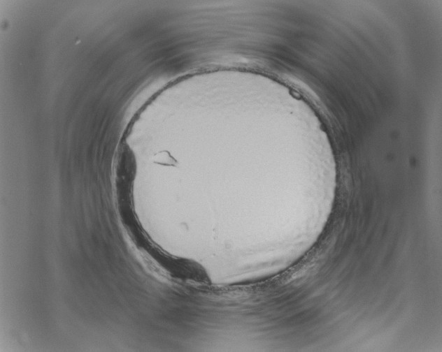 X0000067921047200605112003