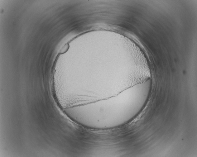 X0000067921048200605112003