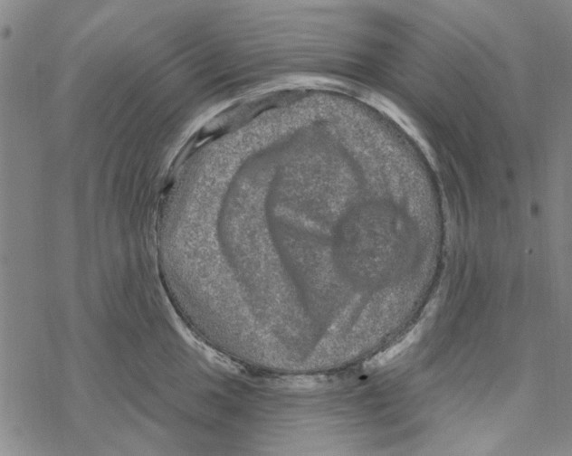 X0000067921049200605112003