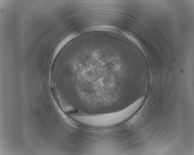 X0000067921050200605112003