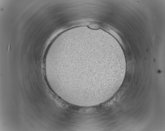 X0000067921051200605112003