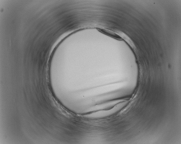 X0000067921052200605112003