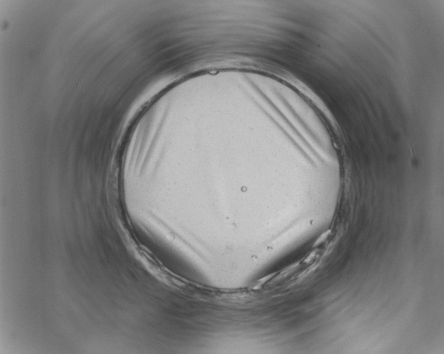 X0000067921053200605112003