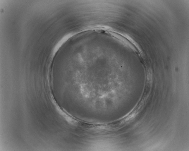 X0000067921054200605112003