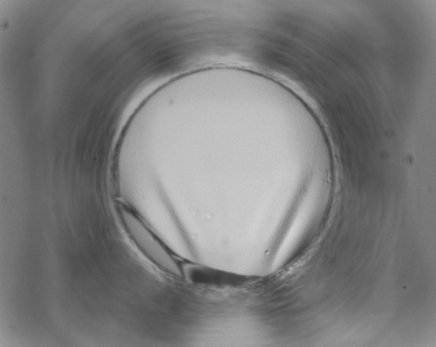 X0000067921056200605112003