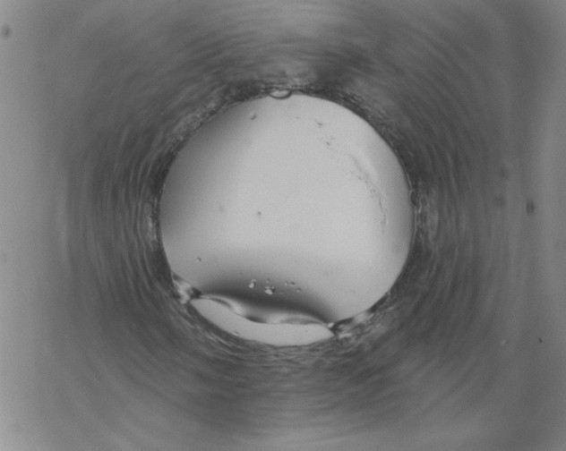 X0000067921058200605112003