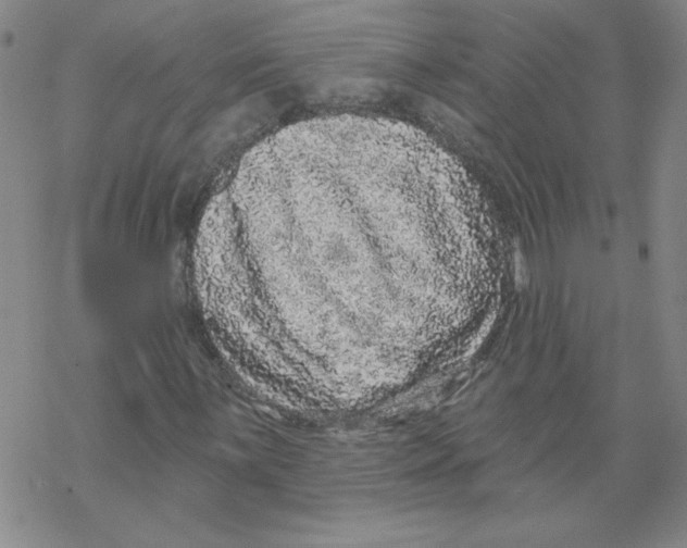 X0000067921059200605112003