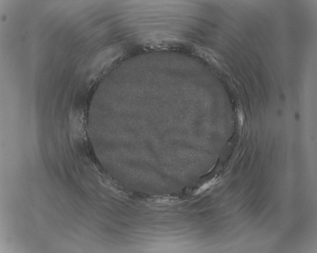 X0000067921060200605112003