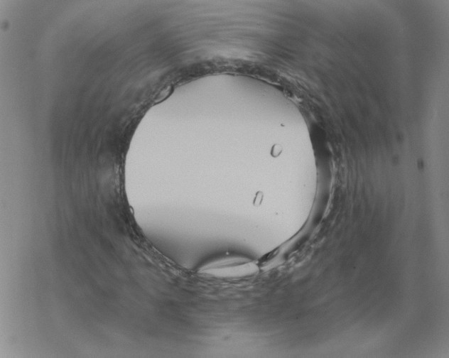 X0000067921061200605112002