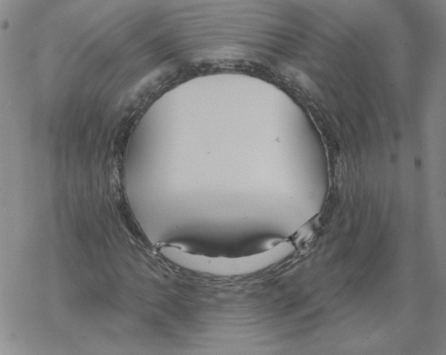 X0000067921062200605112002