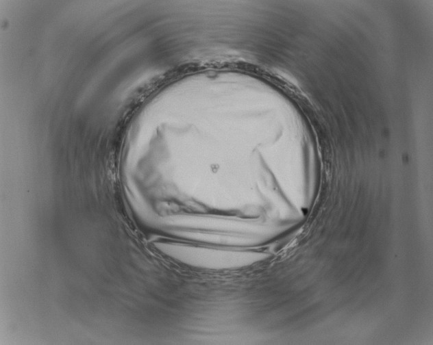 X0000067921063200605112002