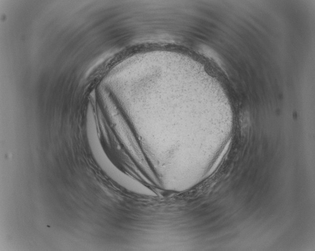 X0000067921064200605112002