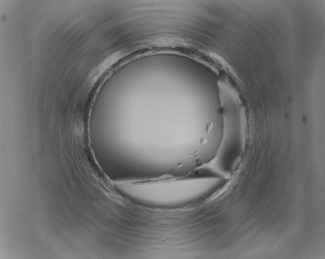 X0000067921065200605112002