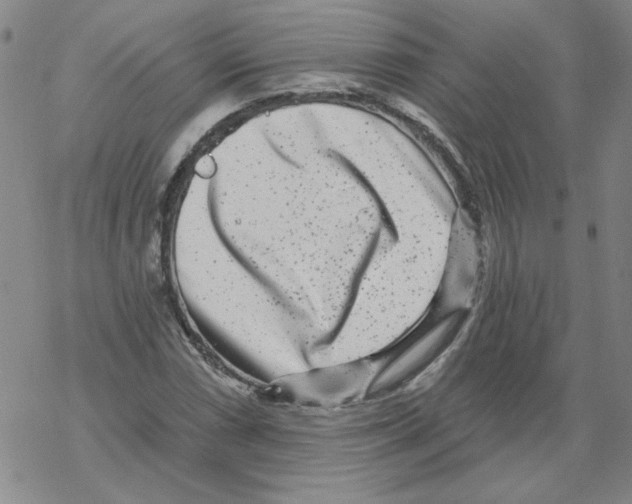 X0000067921066200605112002