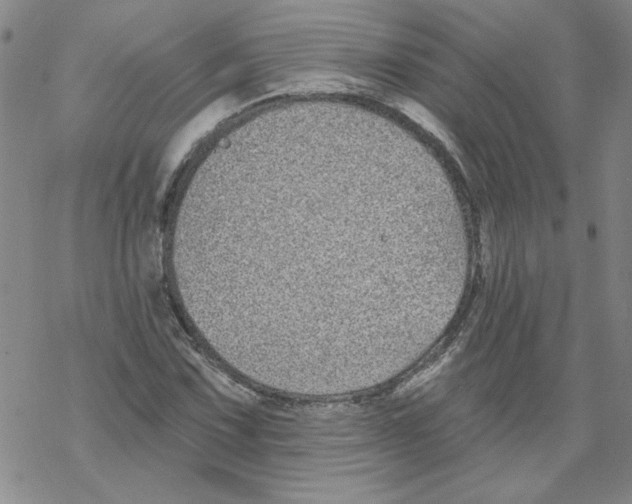 X0000067921067200605112002