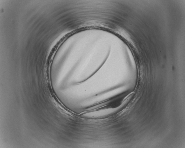 X0000067921068200605112002