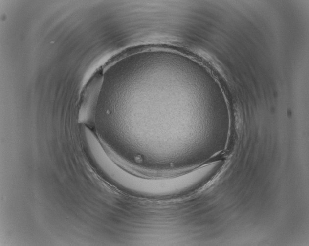 X0000067921069200605112002