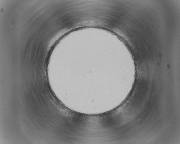 X0000067921070200605112002