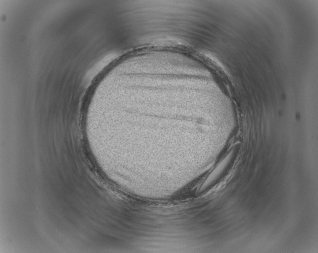 X0000067921071200605112002