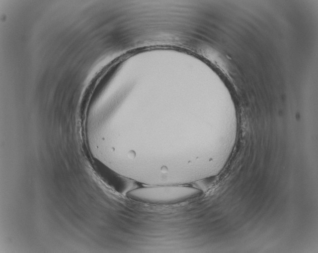 X0000067921072200605112002