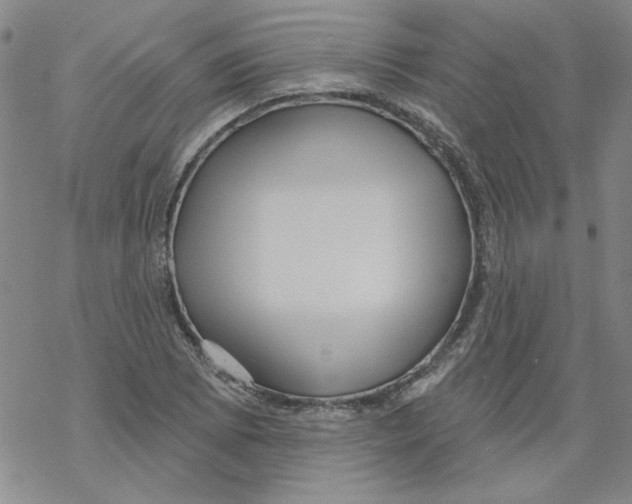 X0000067921073200605112002