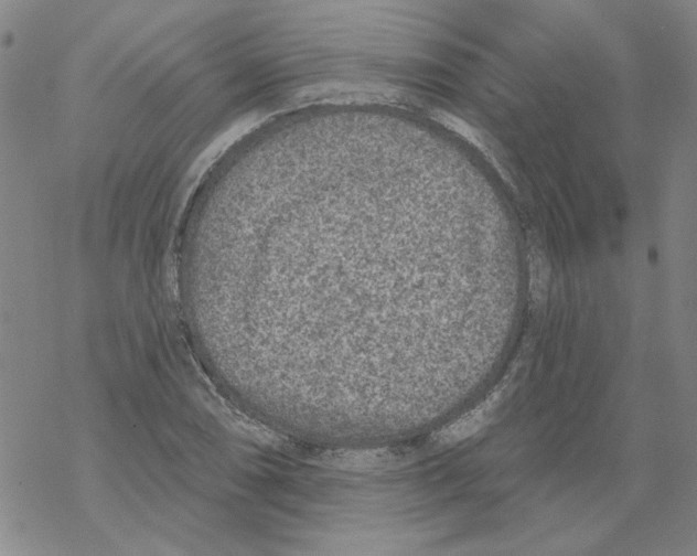 X0000067921074200605112002